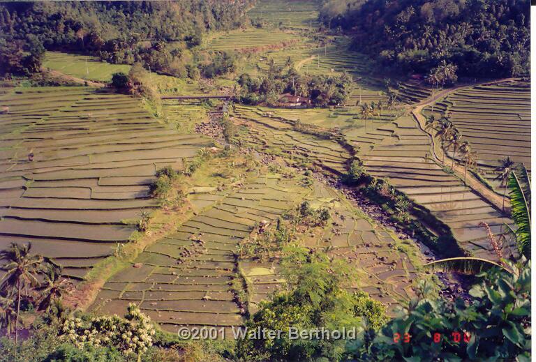 Bali 2001 54