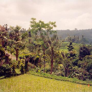 Bali