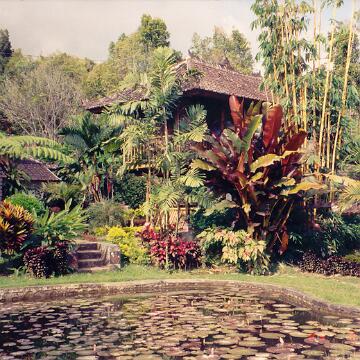 Bali
