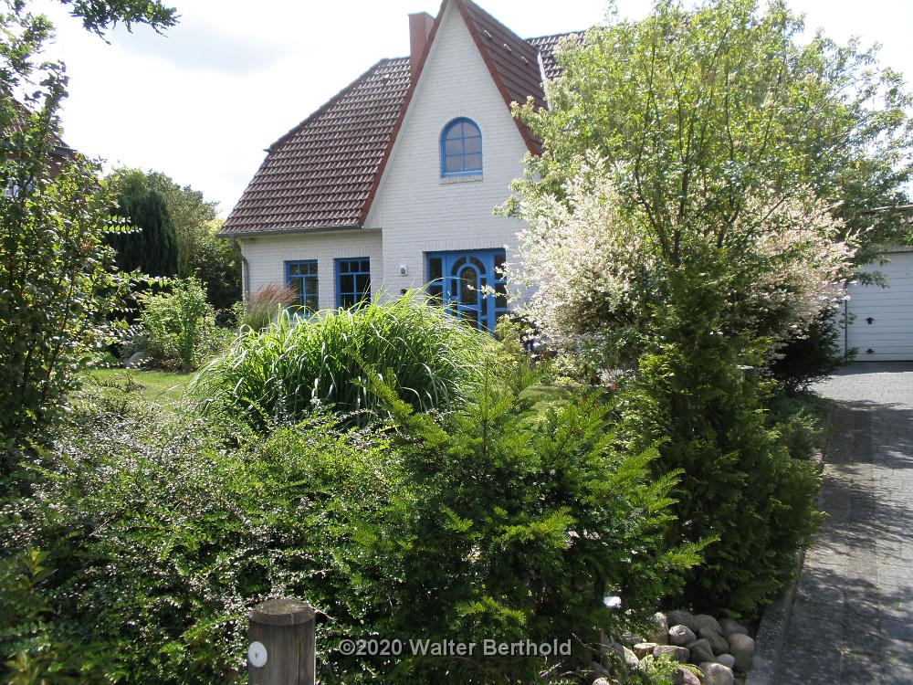 Brackel 036