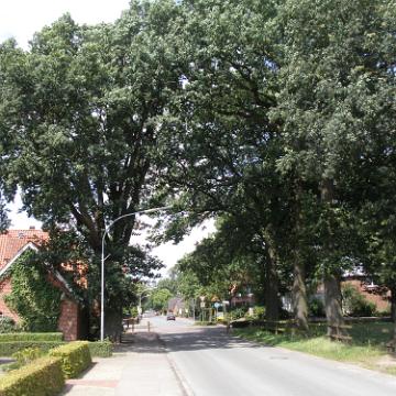 Brackel 040