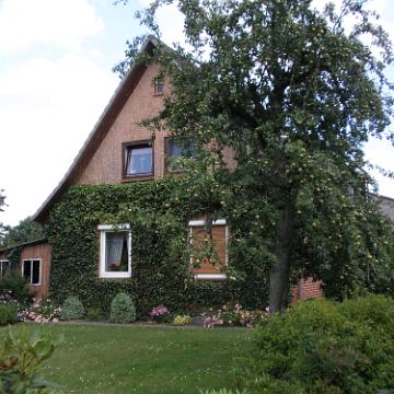 Brackel 051