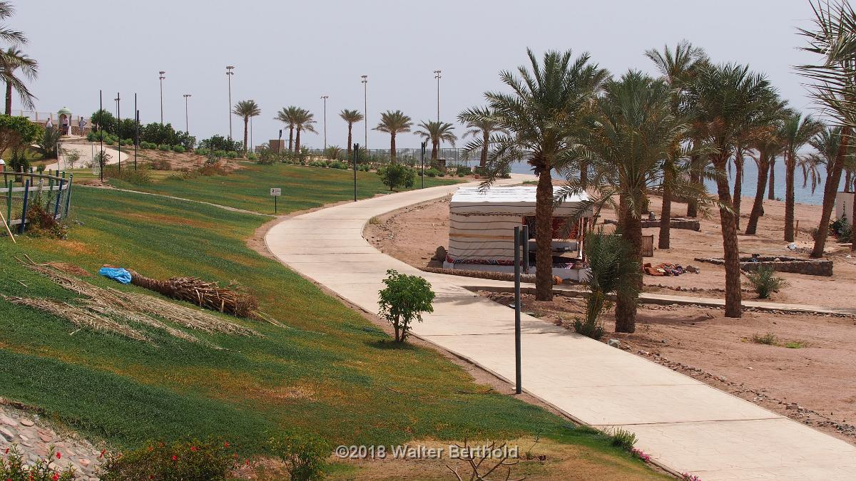 Dahab 2018 027