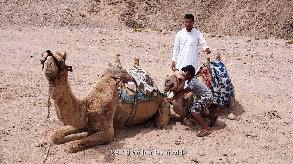 Dahab 2018 041
