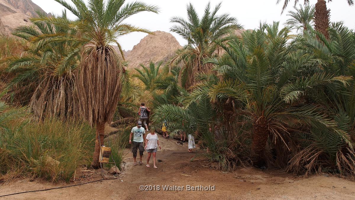 Dahab 2018 047