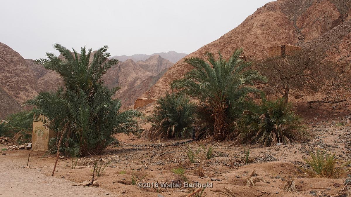 Dahab 2018 061