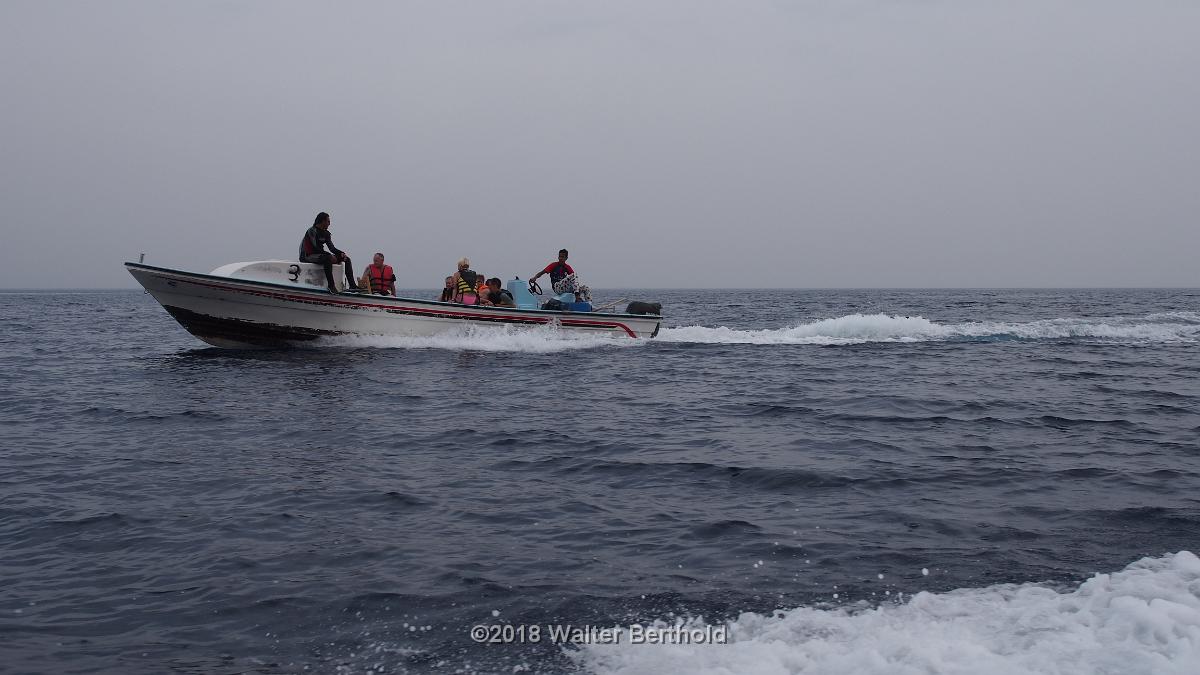 Dahab 2018 079