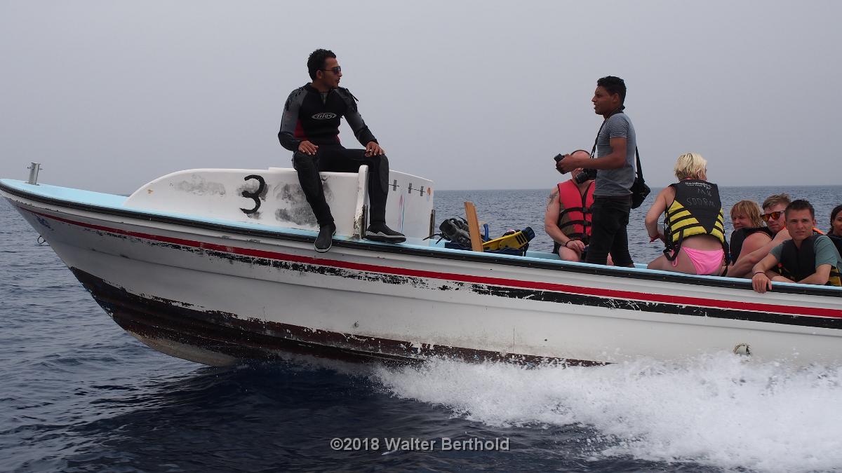 Dahab 2018 086
