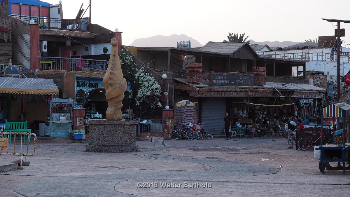 Dahab 2018 141