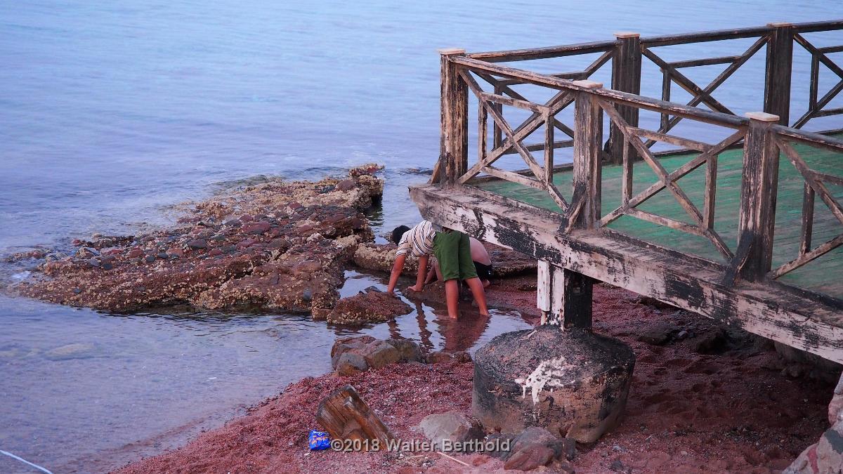Dahab 2018 152
