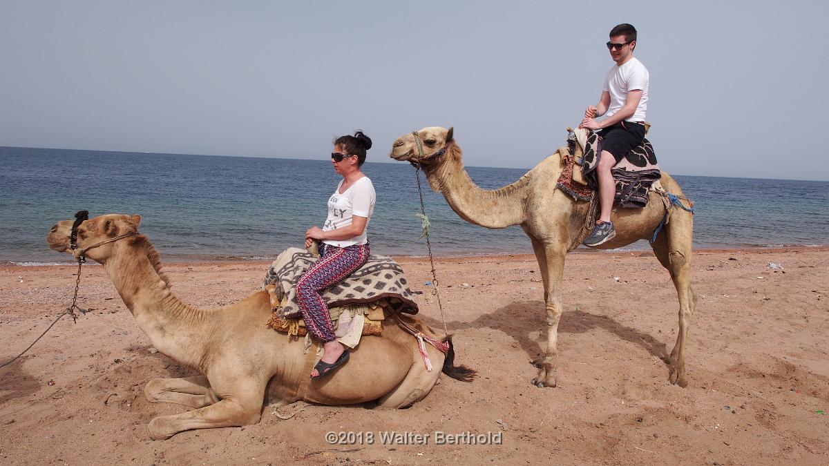 Dahab 2018 171