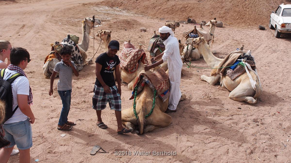 Dahab 2018 172