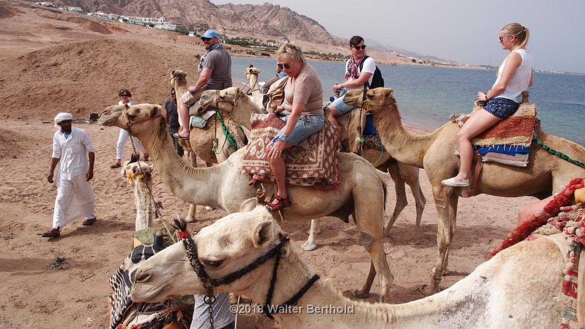 Dahab 2018 177