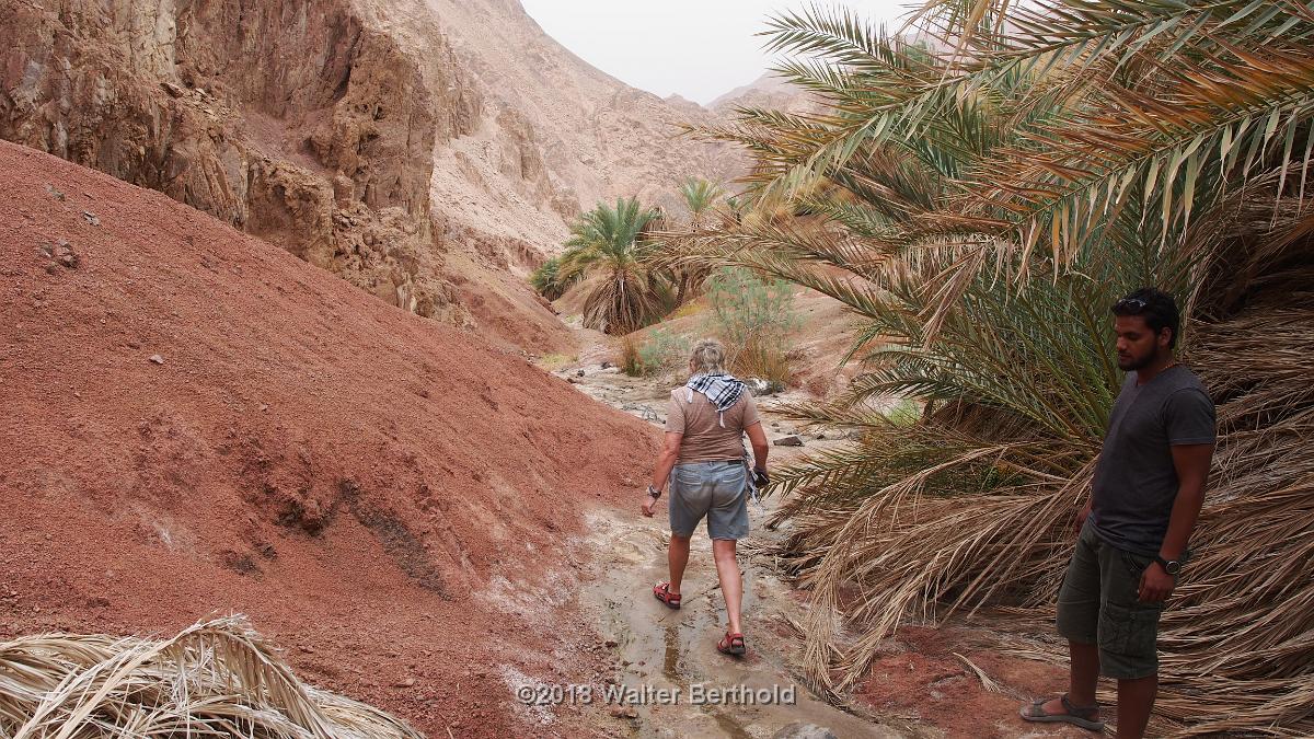 Dahab 2018 211