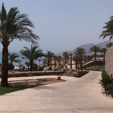 Dahab 2018 034