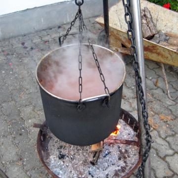 IMG 0366