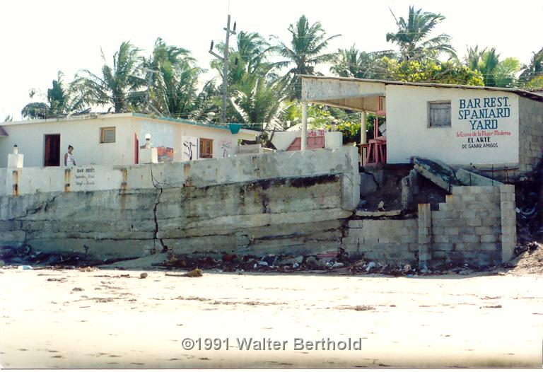 DomRep15
