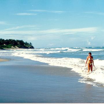 DomRep03