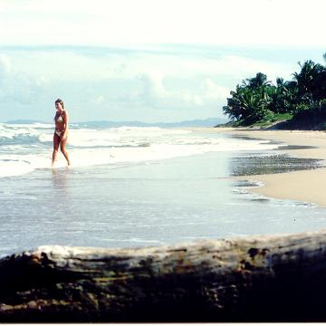 DomRep04