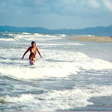 DomRep05 2