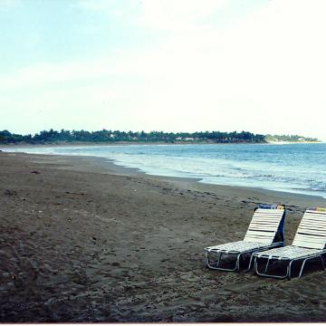 DomRep06
