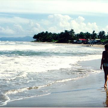 DomRep07