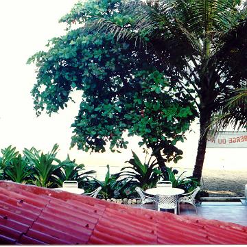DomRep13