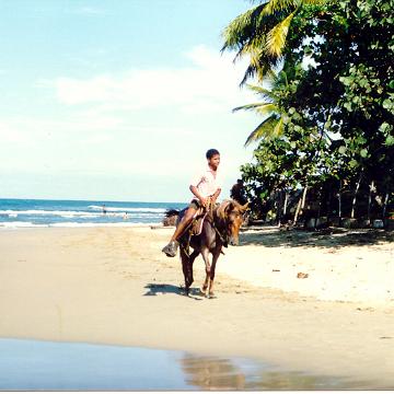 DomRep14