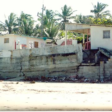 DomRep15
