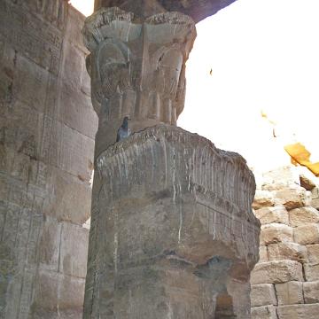 Edfu Tempel 13