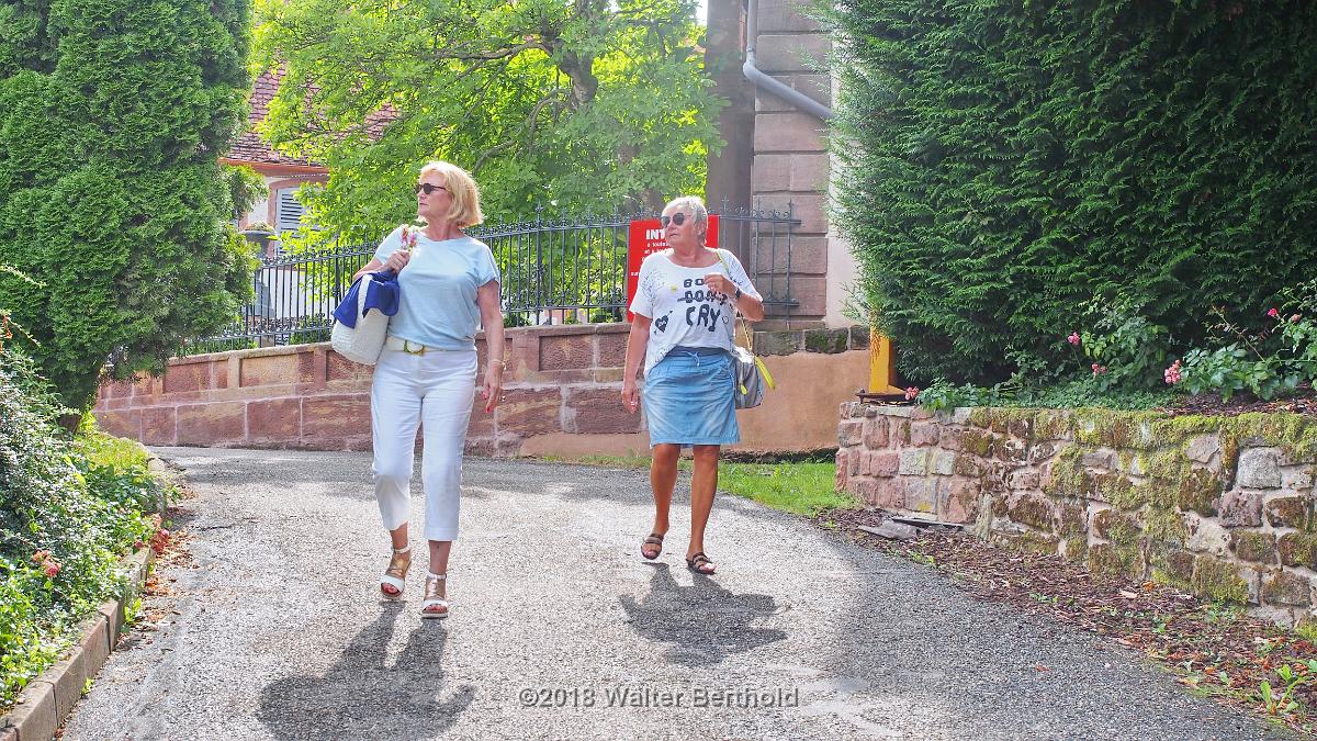 Elsass 2018 054