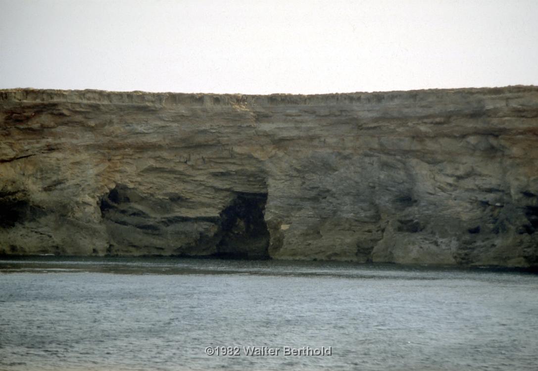 Formentera 1982 1023