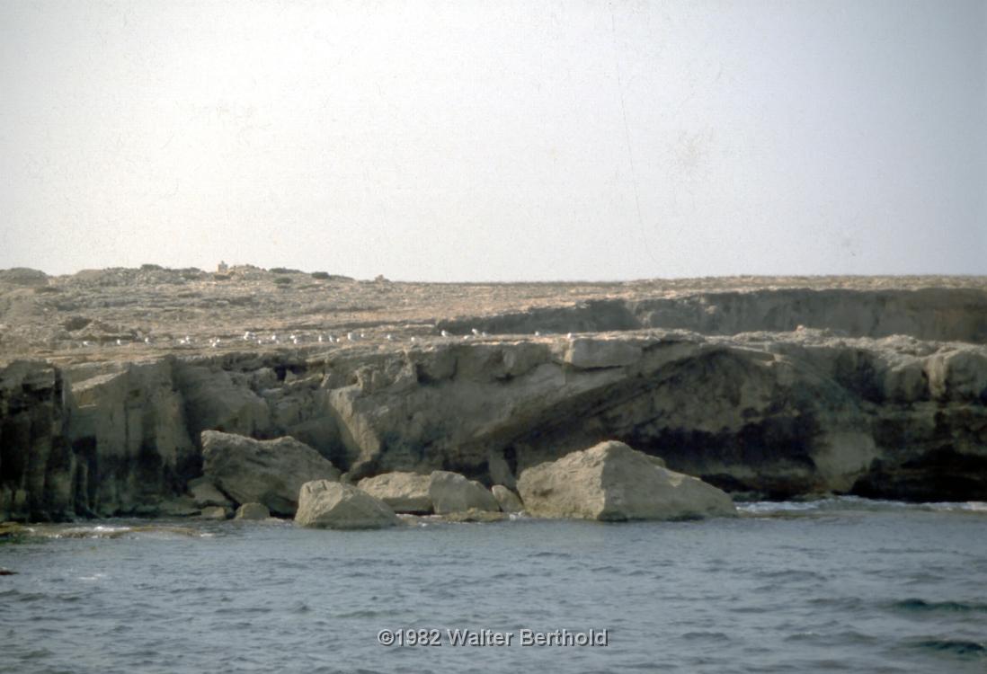 Formentera 1982 1024