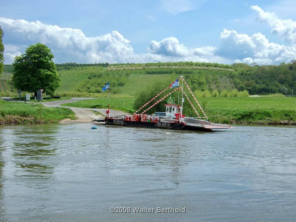 HCG Harry 2008 064