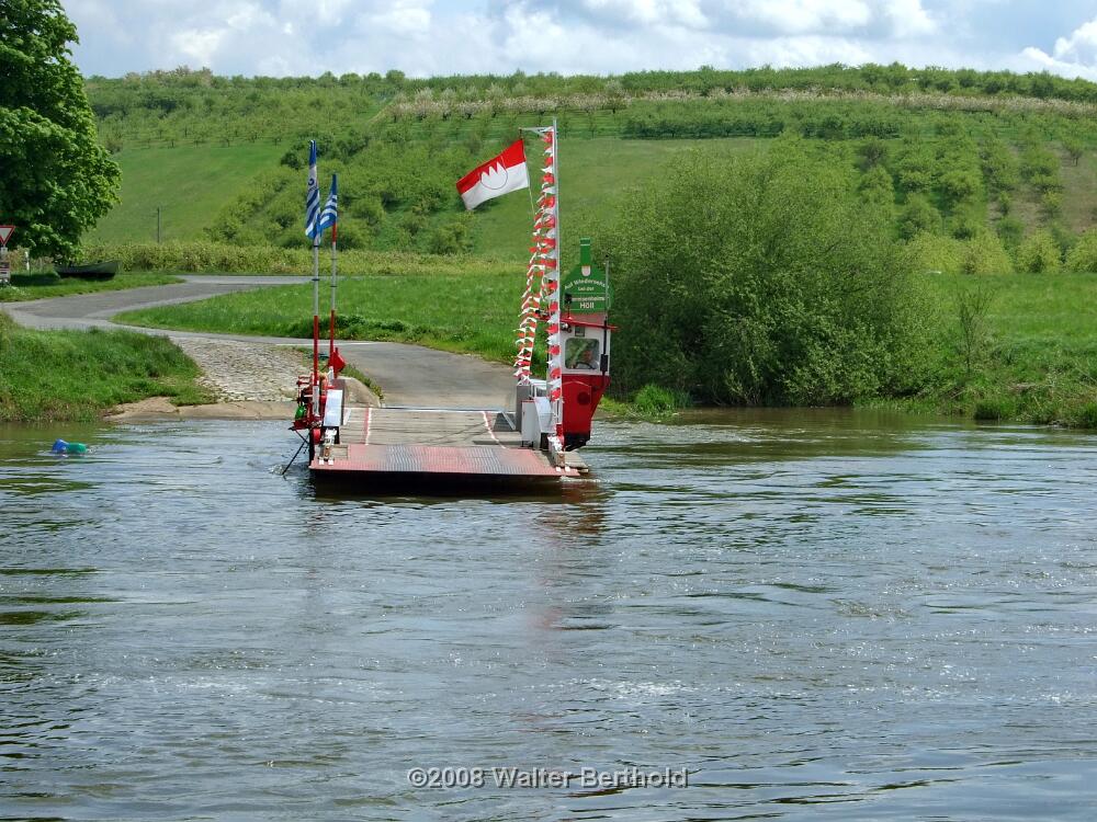 HCG Harry 2008 066