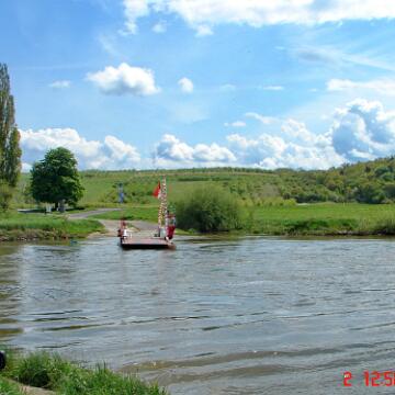 HCG Harry 2008 063
