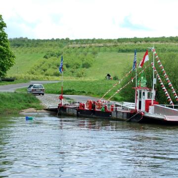 HCG Harry 2008 065
