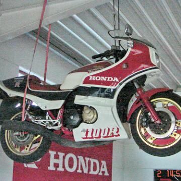 HCG Harry 2008 100