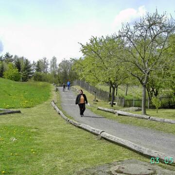 HCG Harry 2008 286