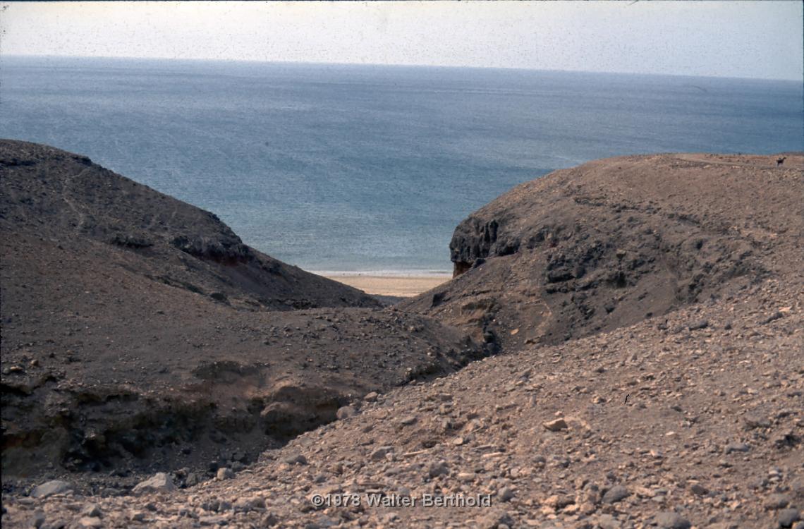 Fuerte 1978 1010