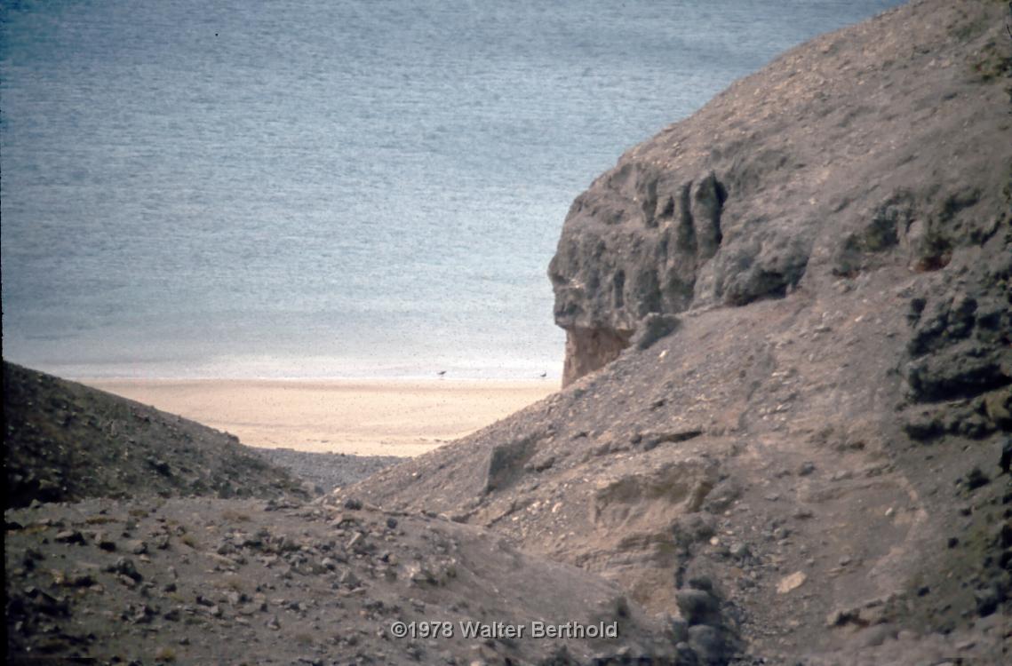 Fuerte 1978 1011