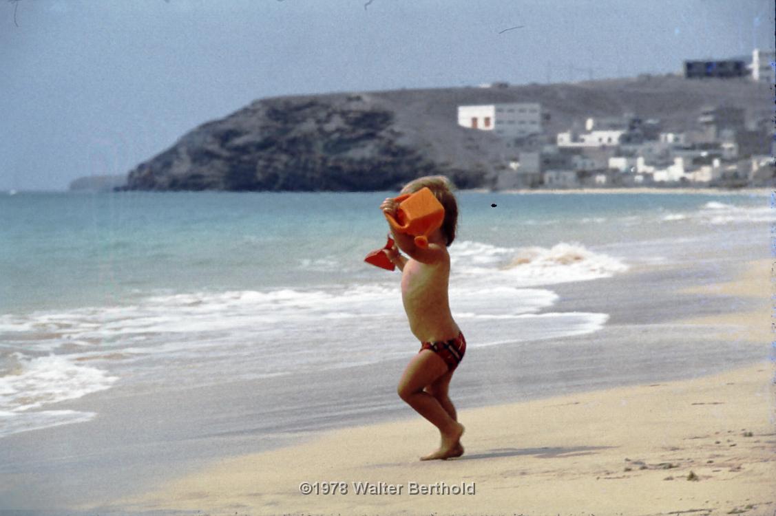 Fuerte 1978 2041
