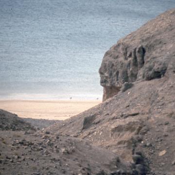 Fuerte 1978 1011