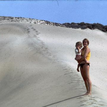 Fuerte 1978 3010