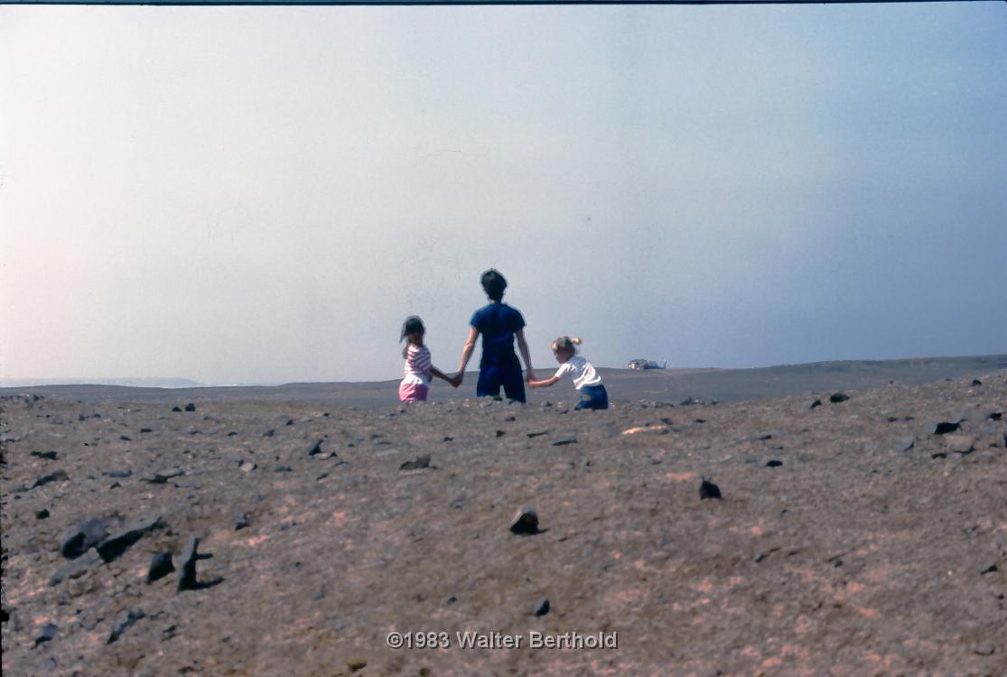 Fuerte 1983 2001