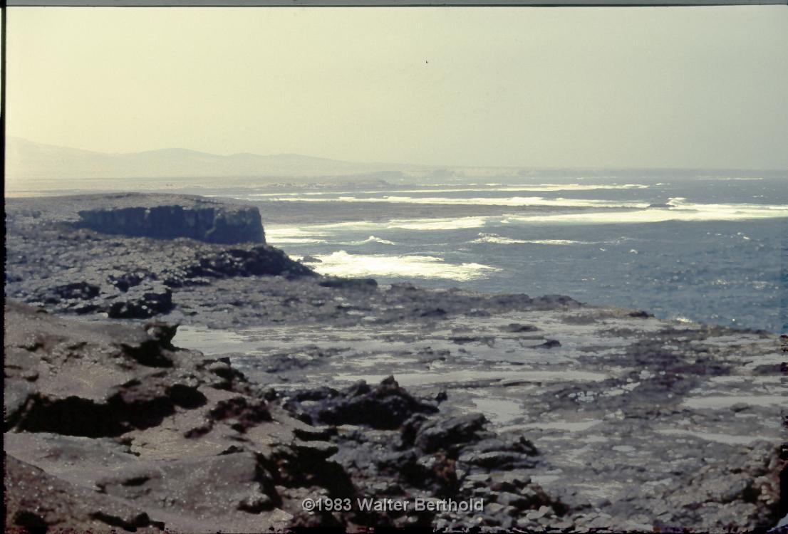 Fuerte 1983 2003