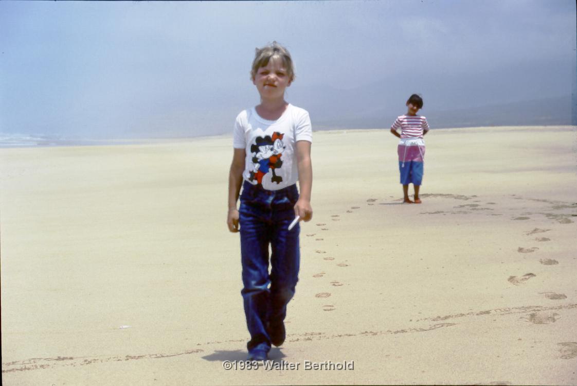 Fuerte 1983 2019