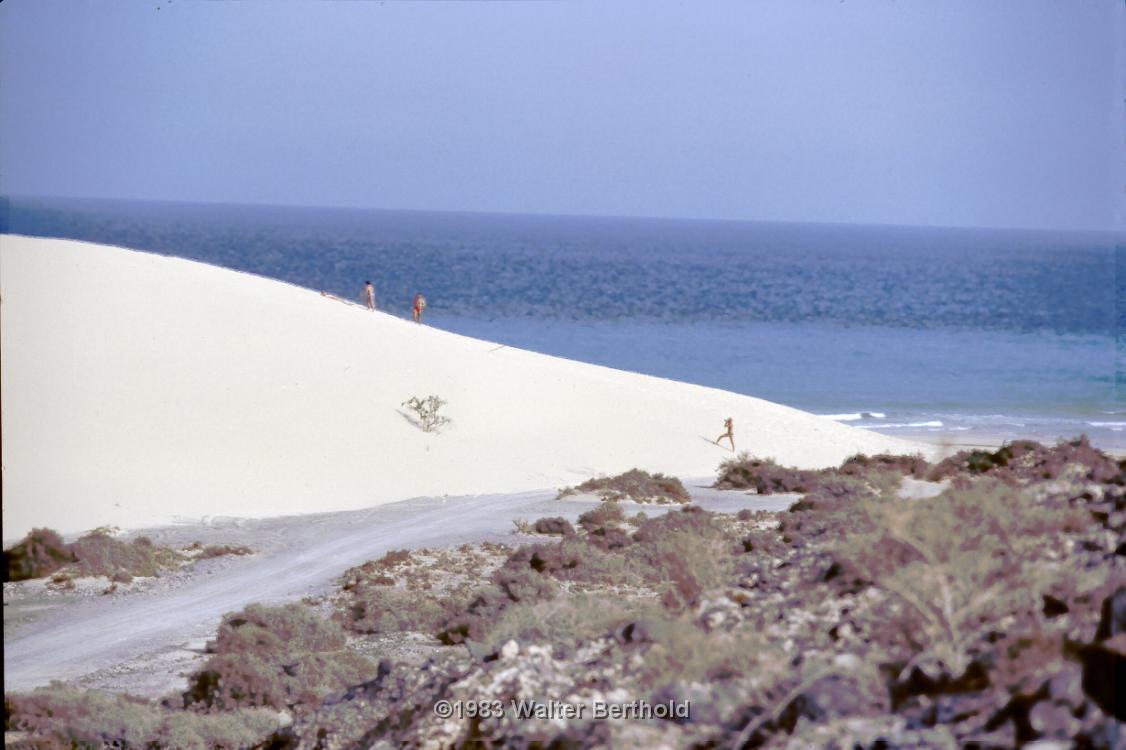 Fuerte 1983 2024