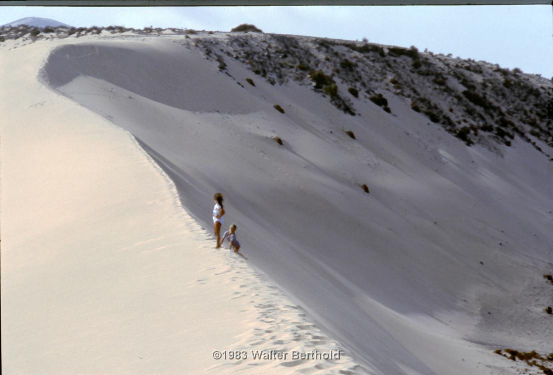 Fuerte 1983 2026