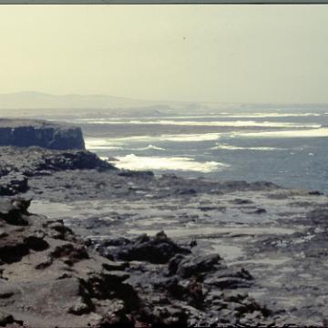 Fuerte 1983 2003